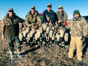 Saskatchewan Goose Hunting Photo Gallery