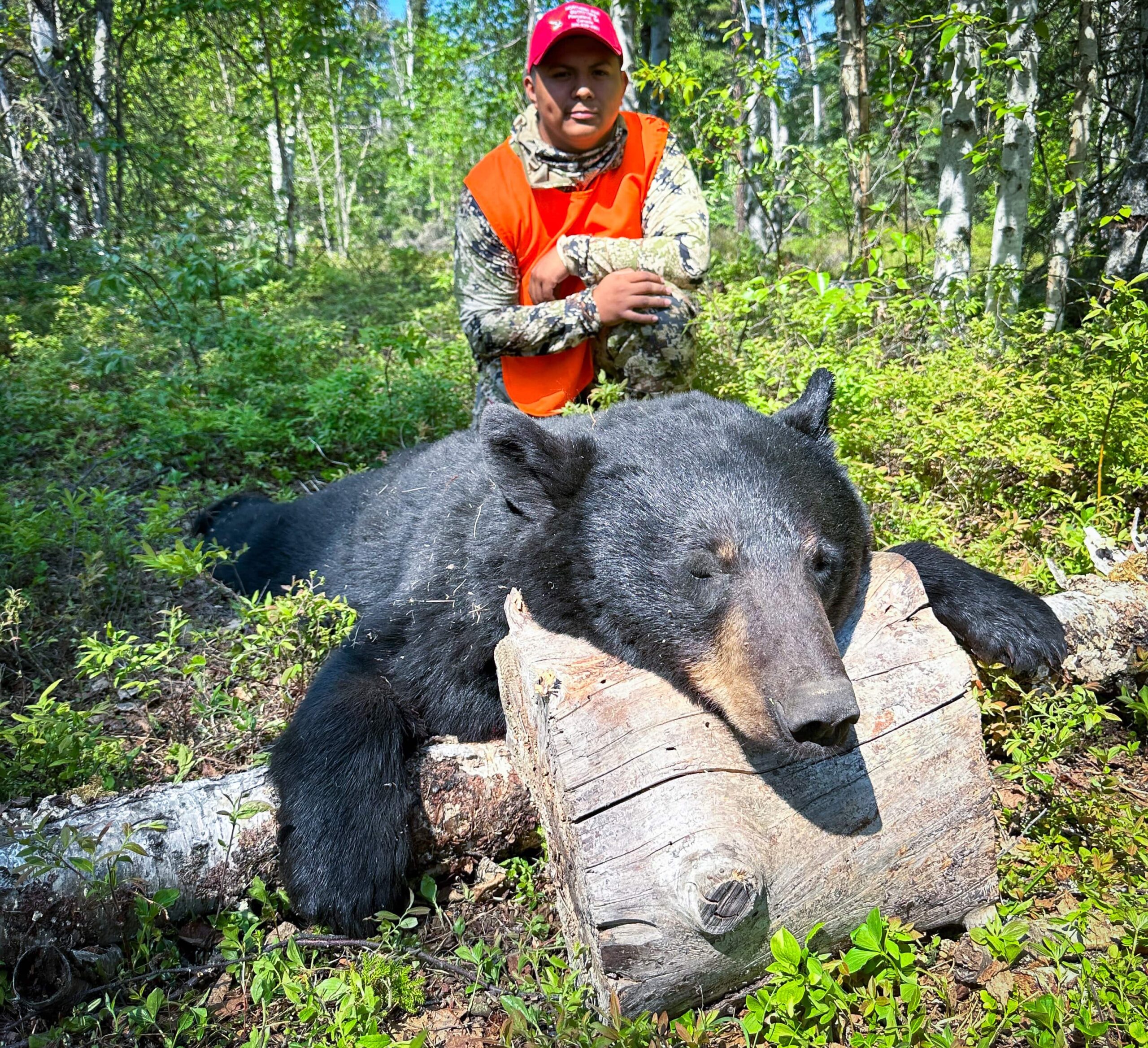 Saskatchewan Bear Hunts: Your Ultimate Hunting Adventure